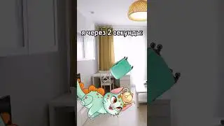 #паук #жиза #castlecats