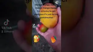 weekends video on Tik-Tok 6/10/2023(3)