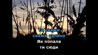 При долині кущ калини караоке гурт Експрес
