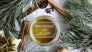 Pine needle oil for winter wellness