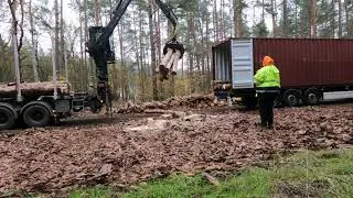 Грузим немецкий лес
