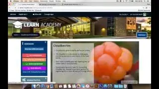 Free Moodle Training 10: Creating interactive content using H5P