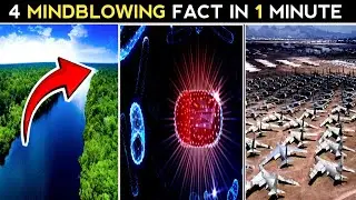 4 MINDBLOWING FACT IN 1 MINUTE ll #mindblowingfacts #viral #facts #amazingfacts //