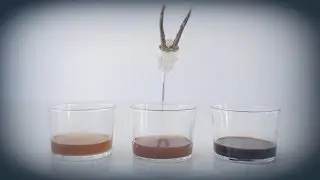 wildbouillon, fond en demi glace