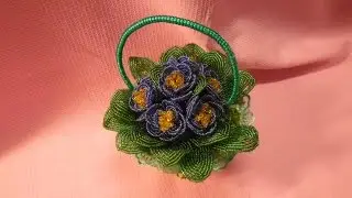 Фиалка избисера