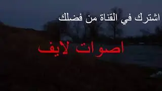 ليالي ماريو لكوا مع 4 رجال في الحمام  - Layali mario