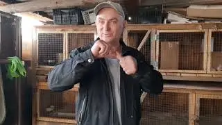 Ремонт крольчатника и рассказы. #ржя #deaf