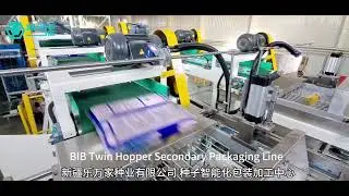 BIB Twin Hopper Secondary Packaging Line with Robotic Palletizing System