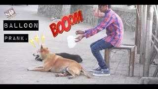 Epic Balloon Bursting Prank | Gubbaara phodo prank | Prank In India 2017