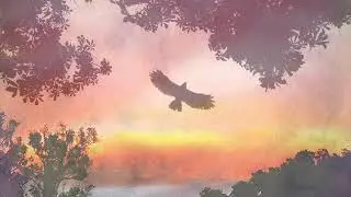 亀谷朝仁  ♫ 屋嘉節 / PW ～ TBNYD13