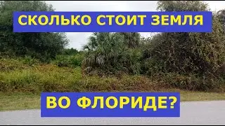 Можно ли задешево купить участок под застройку в Средней Флориде? // Ваш Риэлтор во Флориде
