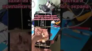 Samsung A505F A50 не работает микрофон. Sm-A505f Mic is not working