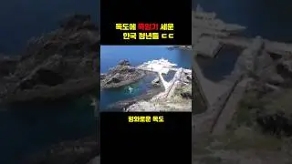 한국인이 독도에 전범기 세워 놓은 이유 ㄷㄷ