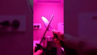 Заточка ножа ASMR #asmr