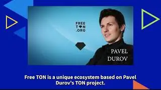Startup in the Spotlight: Free TON
