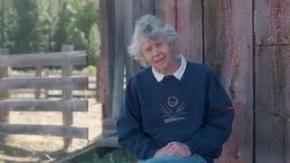 Forest Fete 2021: Organization Video