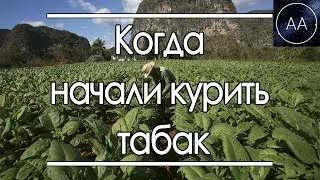 Как появился табак | All About