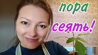 СЧИТАЮ ПОРА СЕЯТЬ ТОМАТЫ | ПИКИРУЮ И ЗАГЛУБЛЯЮ РАССАДУ