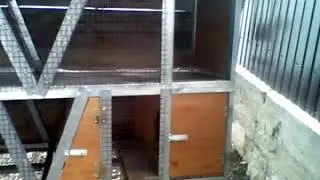 Простой кролятник.Сделай сам.