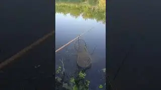 Научил на свою голову🤭❤ #рыбалка #fishing
