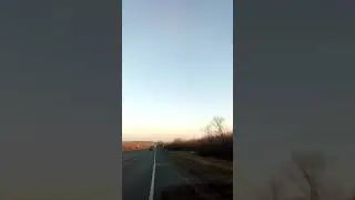 1 ноября 2021 г.