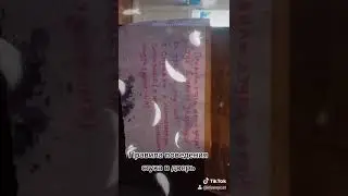 Правила стука