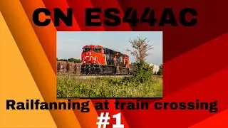 Railfanning at Train Crossing