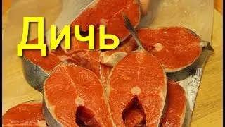 Стейк из лосося на гриле