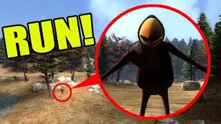 IF YOU SEE VISITOR HELLO NEIGHBOR IN THE WOODS, RUN! FUN AND MADNESS IN Garry`s Mod