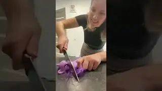 ЧТО ЖЕ ТАМ ВНУТРИ ПОНИ