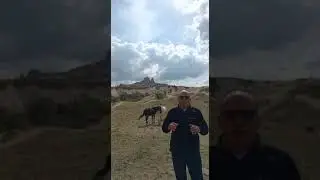 1071 Malazgirt Meydan Muharebesi'nde Alparslan'a karşı büyük bir yenilgi alan Romen Diyojen