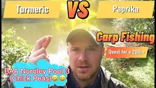 My quest to catch a 20lb carp on Pool 3 at BAA Nordley Bridgnorth  (Turmeric V Paprika) Chick Pea 😀🤔