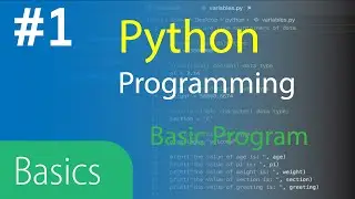 Python3 Basics Tutorial 1 Simple Program