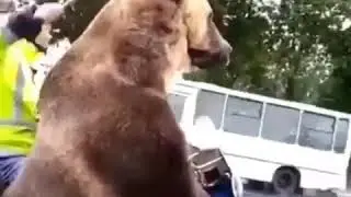 ruski baer