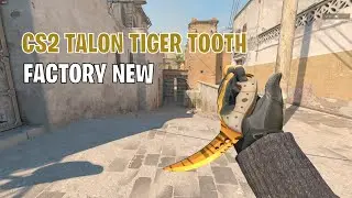 Talon Knife Tiger Tooth | CS2 Skin Showcase #157