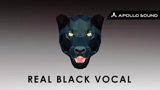 Real Black Vocal ★ Rap Acapellas Sample Pack ★ Rap Vocal Samples • Vocal Hooks & Rap Shouts