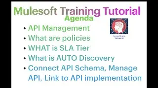 P1-S23|#mulesoft Tutorial for beginners|Manage API|How to Manage API|Mulesoft API Policies SLA Tiers