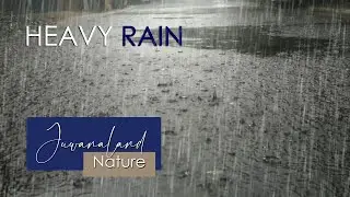 Instantly sleep with heavy rain and the rumble of thunderstorms | Rain sound to sleep