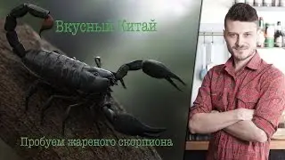Tasty China - try fried scorpion on the market