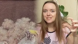 Вышивка крестом: мамин прогресс. ВАЖНО! Новый канал!