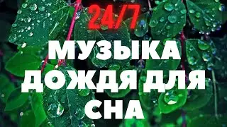 музыка для сна под шум дождя |очень сильный дождь| белый шум