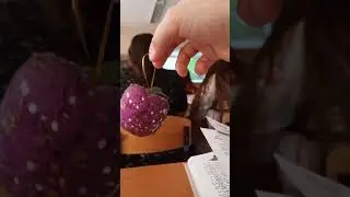 я на уроке физики получил 5