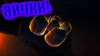 В ПОИСКАХ ЯИЦ В Among the sleep!