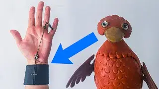 Dabchick's most HIDDEN part
