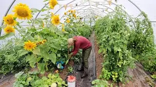 This Should Fix It | Bulk Harvesting, Canning and Preserving