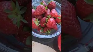 С добрым воскресным утром, мои дорогие 🤗