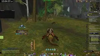 WoW Slow Leveling Hunter 1-70