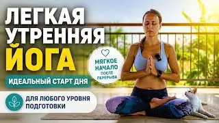 Йога для тех кто стар, устал или достал, после долгого перерыва, коврик из шкафа :)