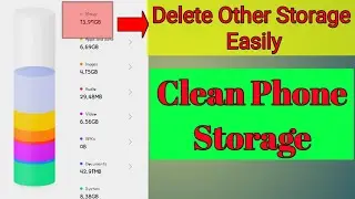 How to delete Other storage from phone storage