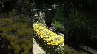 10 августа 2023 